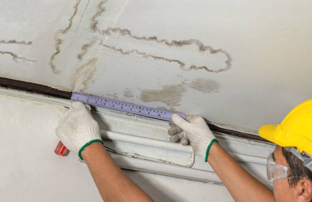 Reliable Mold Remediation contractor in Advance, NC by Water Damage Irwin